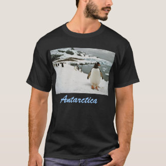 Die Antarktis-T - Shirt
