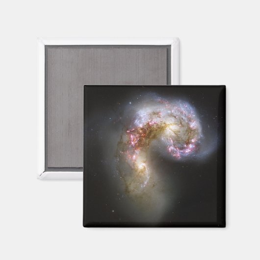 Die Antennengalaxien Magnet (Vorderseite/Rückseite)