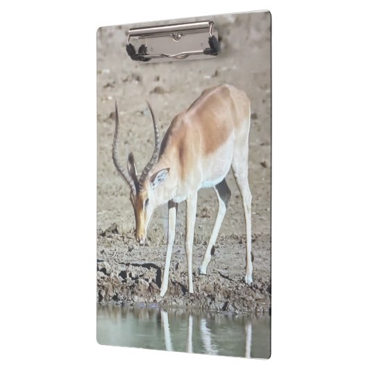 Die Antilope, Klemmbrett (Links)