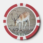 Die Antilope,  Pokerchips (Vorderseite)