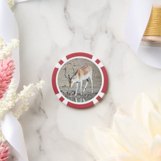 Die Antilope,  Pokerchips (Hochzeit)