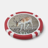 Die Antilope,  Pokerchips (Einzeln)