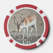 Die Antilope,  Pokerchips (Rückseite)