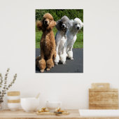 Die Antwort, die mir Freind, ist Poodles im Wind.. Poster (Küche)
