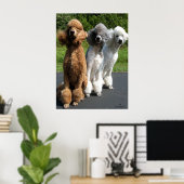 Die Antwort, die mir Freind, ist Poodles im Wind.. Poster (Heimbüro)