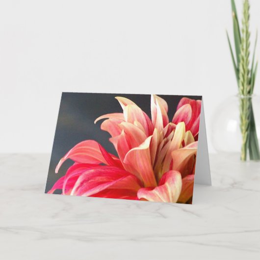 Die Any-Chance-Card. Dankeskarte (Vorderseite)