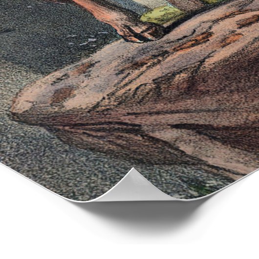 Die Aoudad von Joseph Wolf Poster (Ecke)