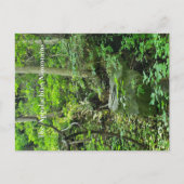 Die appalachischen Berge Postkarte (Vorderseite)