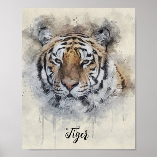 Die Aquarellbilder von Tiger Look Poster (Vorne)