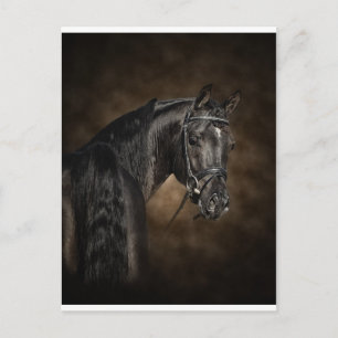 Die arabischen postkarte