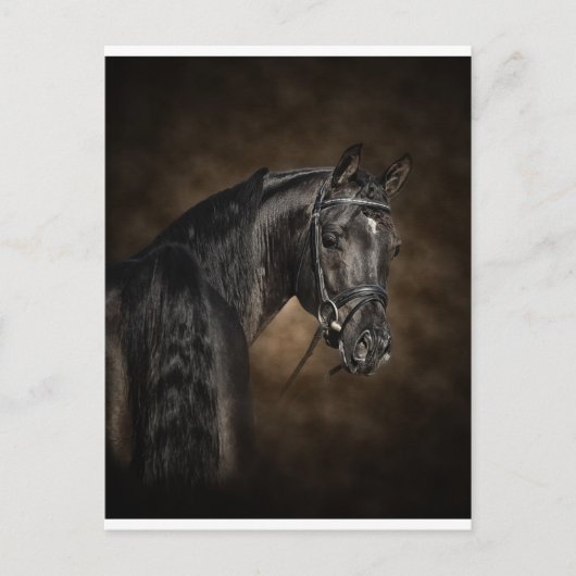 Die arabischen postkarte (Vorderseite)