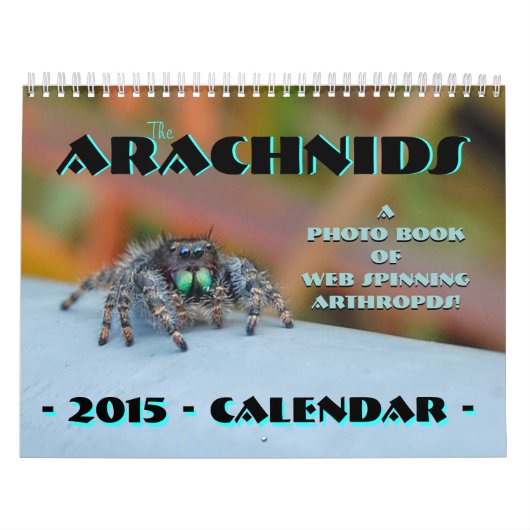 Die Arachniden Kalender (Titelbild)