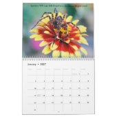 Die Arachniden Kalender (Jan 2027)