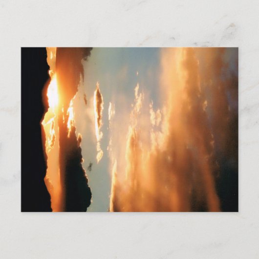 "Die Arizona-Show" Postkarte (Vorderseite)