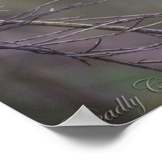 Die Art des Paintballs Poster (Ecke)