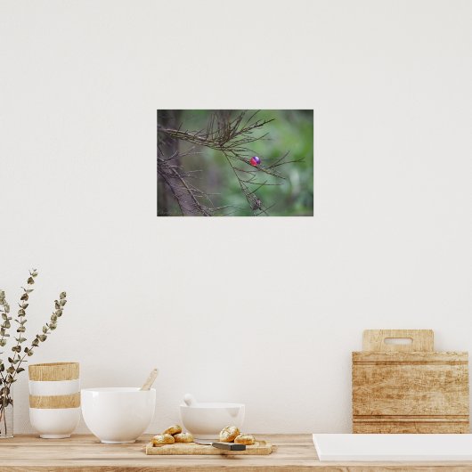 Die Art des Paintballs Poster (Küche)