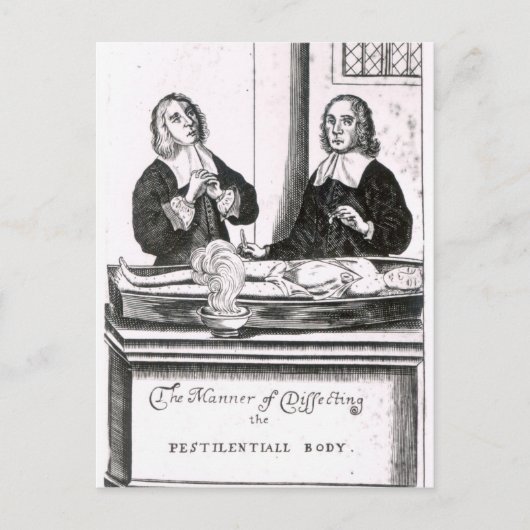 Die Art und Weise, wie der Pestizid-Körper dissekt Postkarte (Vorderseite)