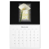 DIE ART VON ST. JOHN DAVIES KALENDER (Mär 2026)