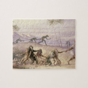 Die Arten und die Gewohnheiten der Affen Puzzle
