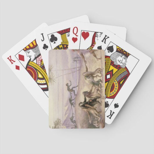Die Arten und die Gewohnheiten der Affen Spielkarten (Rückseite)