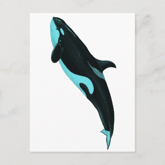 DIE ASCENDENDE ORCA POSTKARTE (Vorderseite)