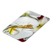 Die Asiatische Blütenmantis Magnet (Linke Seite)