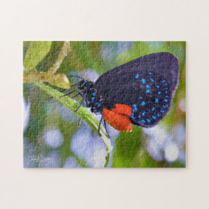 Die Atala Puzzle