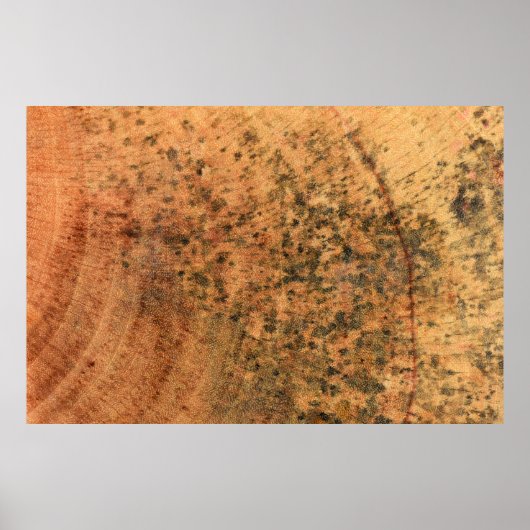 Die auf der braunen Holzoberfläche wachsende Form  Poster (Vorne)