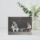 Die aufbrechende Kitty Postkarte (Stehend Vorderseite)