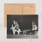 Die aufbrechende Kitty Postkarte (Vorne/Hinten)