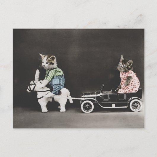 Die aufbrechende Kitty Postkarte (Vorderseite)
