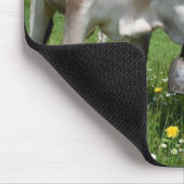 Die Aufnahmen wurden mit einem Weitwinkelobjektiv Mousepad (Ecke)