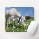 Die Aufnahmen wurden mit einem Weitwinkelobjektiv Mousepad (Mit Mouse)