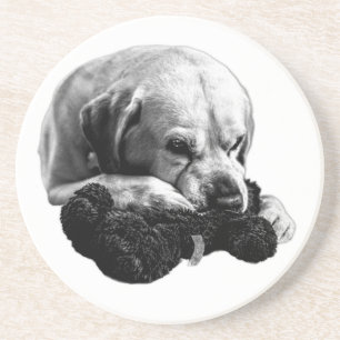 Die Augen auf den Preis Getränkeuntersetzer