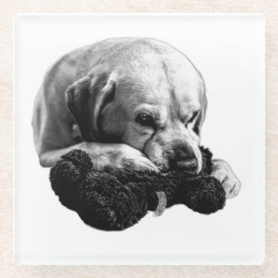 Die Augen auf den Preis Glasuntersetzer