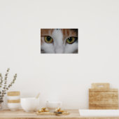 Die Augen der Katze Poster (Küche)