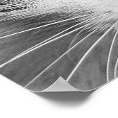 Die Augen der Katze Poster (Ecke)