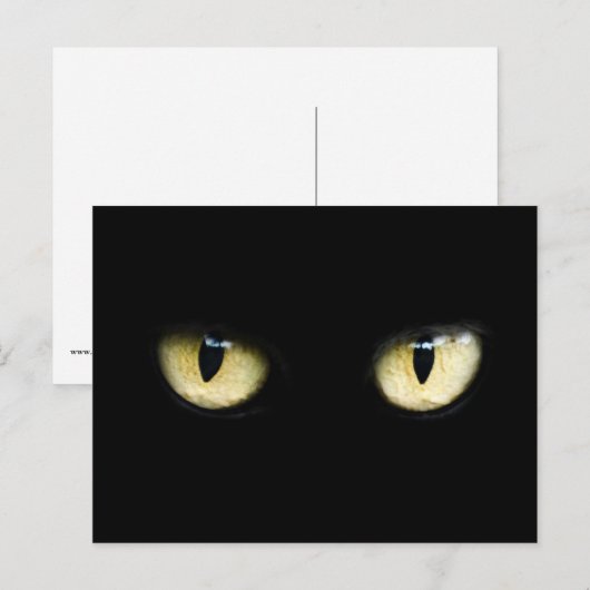 Die Augen der Katze Postkarte (Vorne/Hinten)