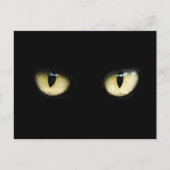 Die Augen der Katze Postkarte (Vorderseite)