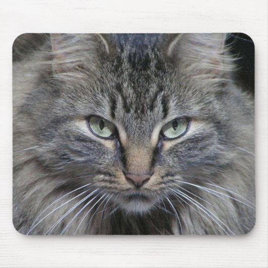 Die Augen der Katzen haben es Mousepad (Vorne)