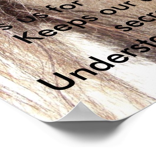 Die Augen der Weisheit Poster (Ecke)