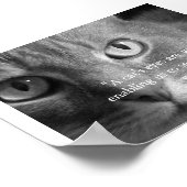 Die Augen einer Katze... Poster (Ecke)