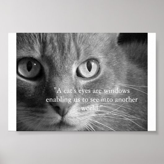Die Augen einer Katze... Poster (Vorne)