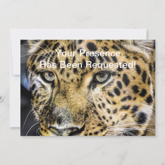 Die Augen eines Leoparden Einladung (Vorderseite)