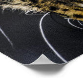 Die Augen eines Leoparden Poster (Ecke)