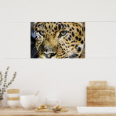Die Augen eines Leoparden Poster (Küche)