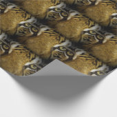 Die Augen eines Tiger oder Brown Owls? Geschenkpapier (Ecke)