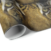 Die Augen eines Tiger oder Brown Owls? Geschenkpapier (Rolleneckpunkt)