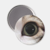 "Die Augen haben es" Katzenauge #2-Magnet Magnet (Vorderseite/Rückseite)