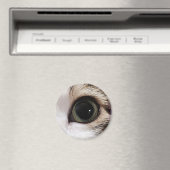 "Die Augen haben es" Katzenauge #2-Magnet Magnet (In Situ (Geschirrspüler))